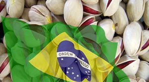 صادرات پسته به برزیل